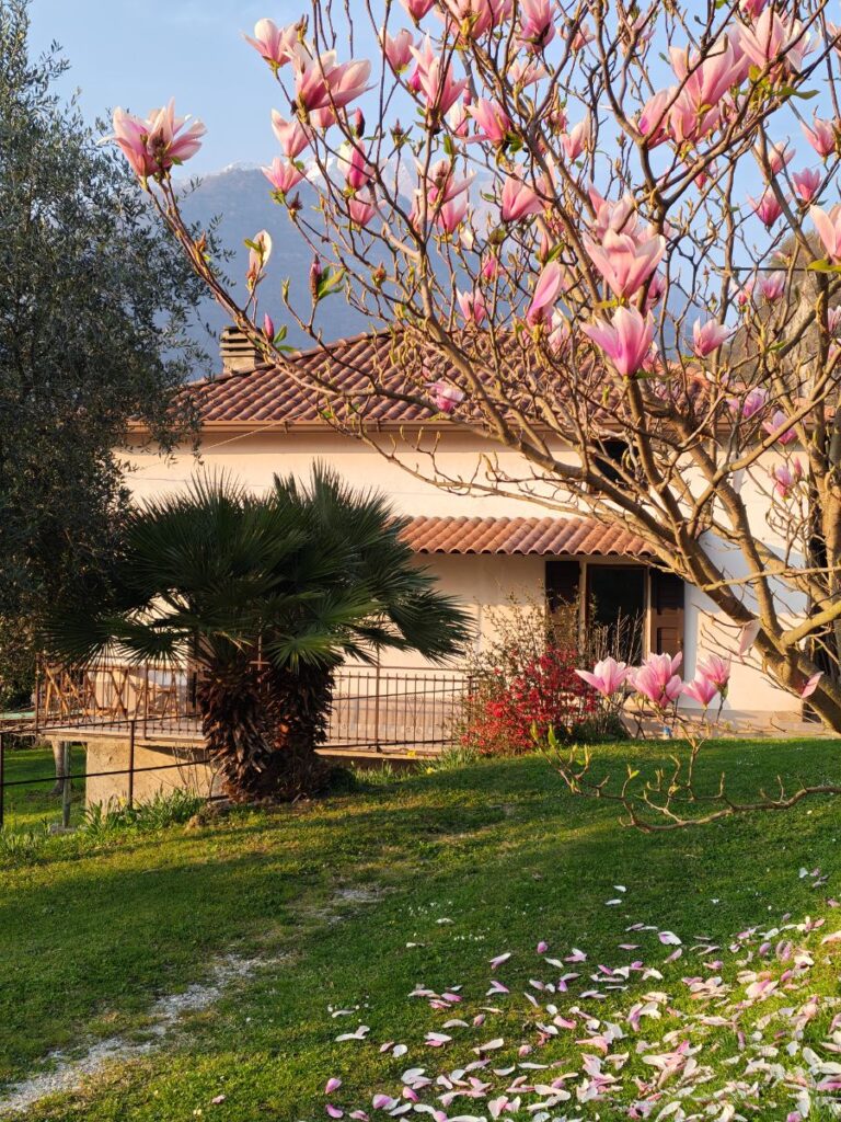 CasadellaLetteratura-wiosna