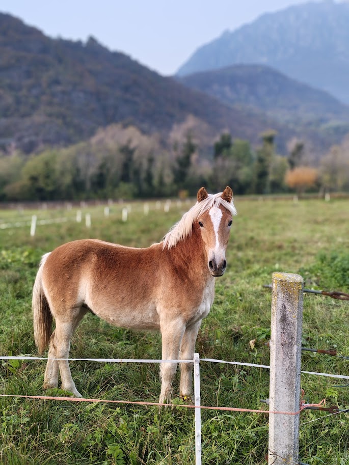 natura-dom-literatury
