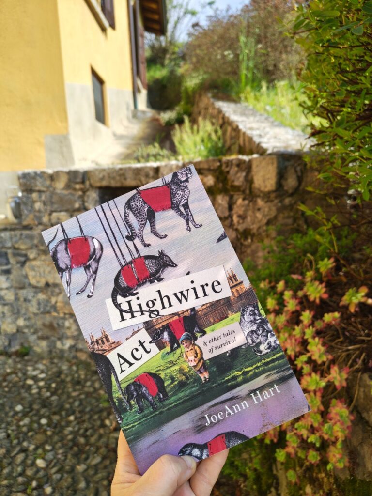 skarby-biblioteki-joeAnn-Hart