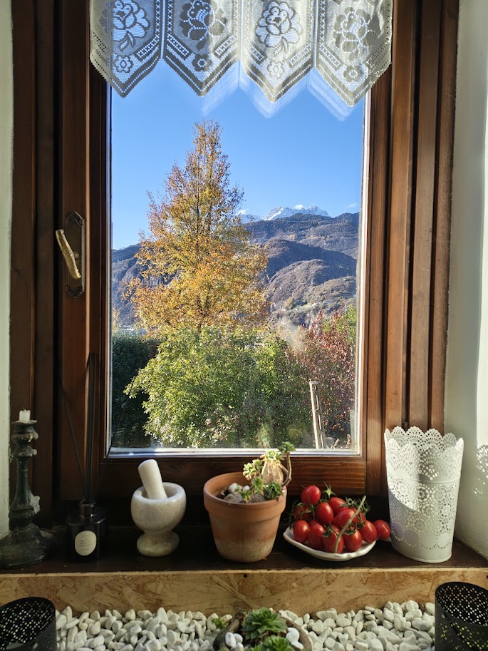 widok-z-okna-w-kuchni